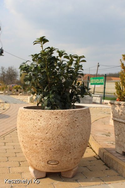 kö virágtartók,beton virágtartók,kaspó,balkonláda,virágláda,virágtartó,kaspó